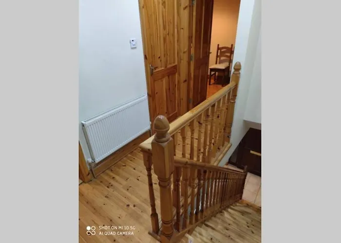 Townhouse 1 Barrow Lane Tatil Evi Bagenalstown